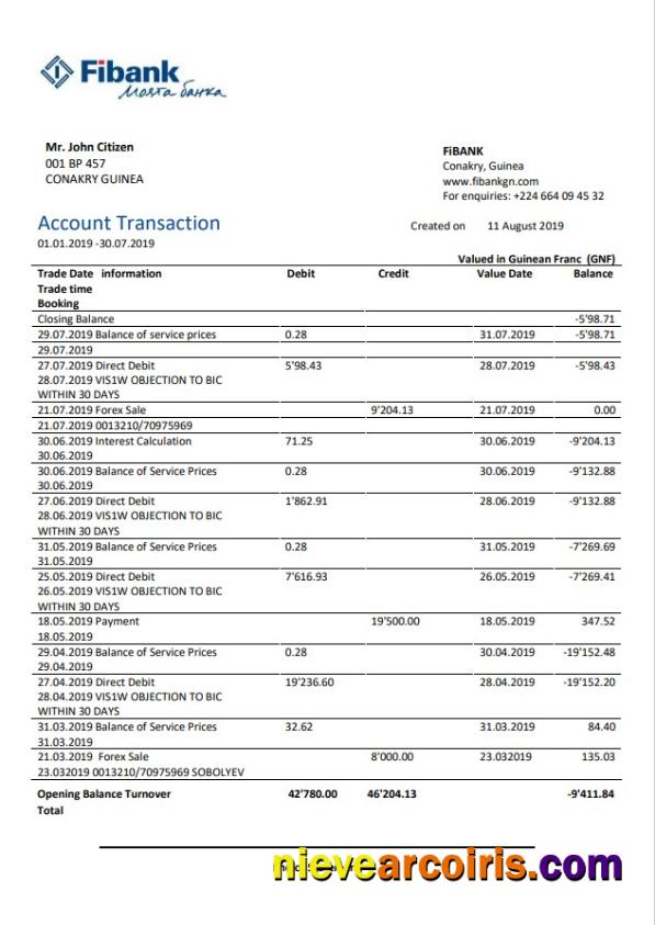 Guinea Fibank Bank Statement Preview