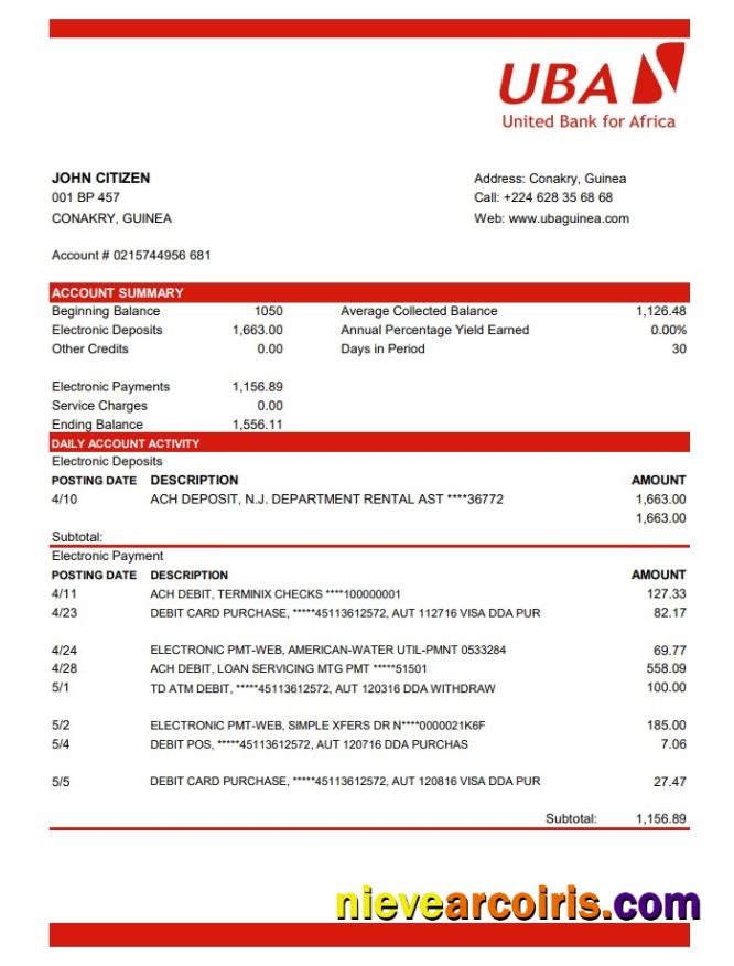 Realistic Guinea UBA Bank Statement Template In Excel And PDF Format