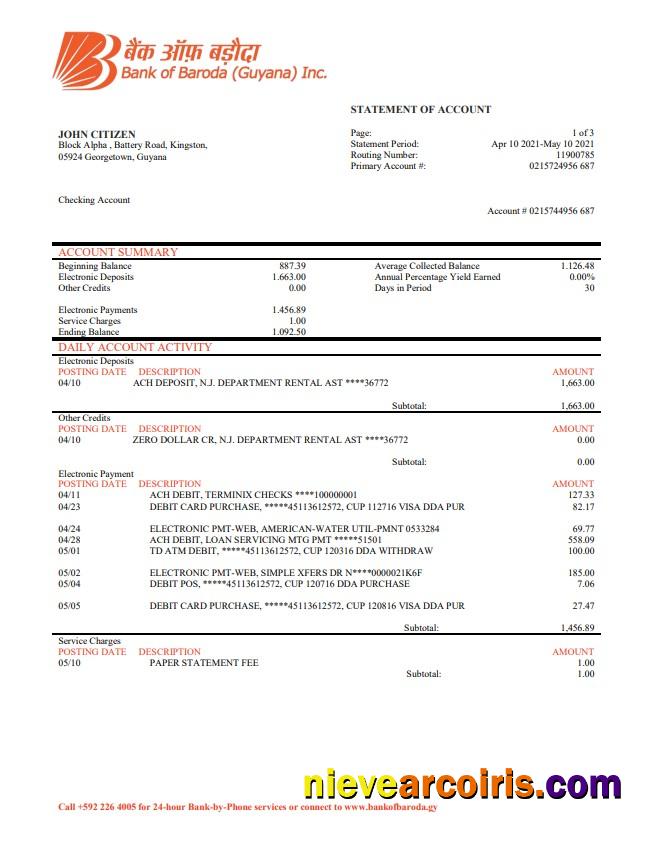 Guyana Bank Of Baroda Statement Sample