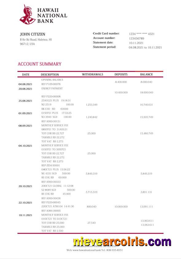 Premium Hawaii Hawaii National Bank Statement Word And PDF Template