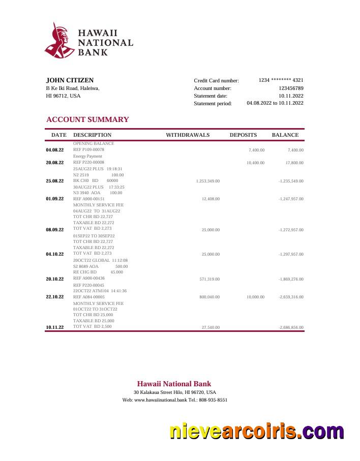 Editable Hawaii National Bank Statement Excel And PDF Template