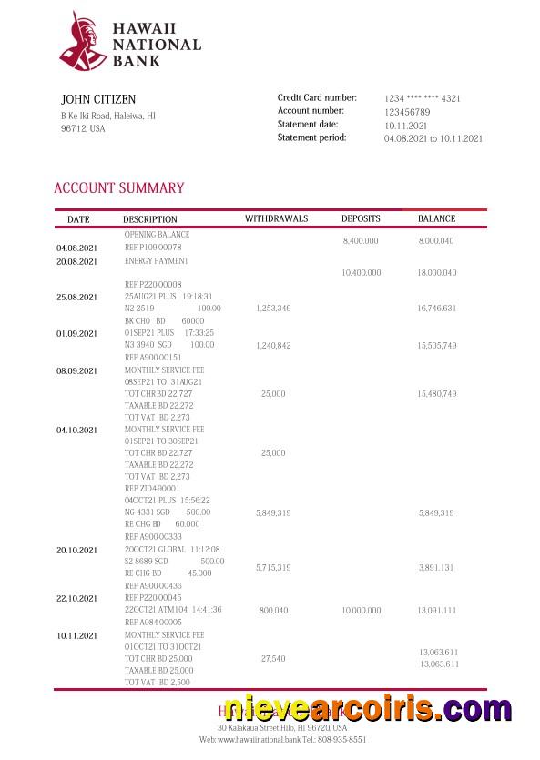Professional Hawaii National Bank Statement Template, Word And PDF Format