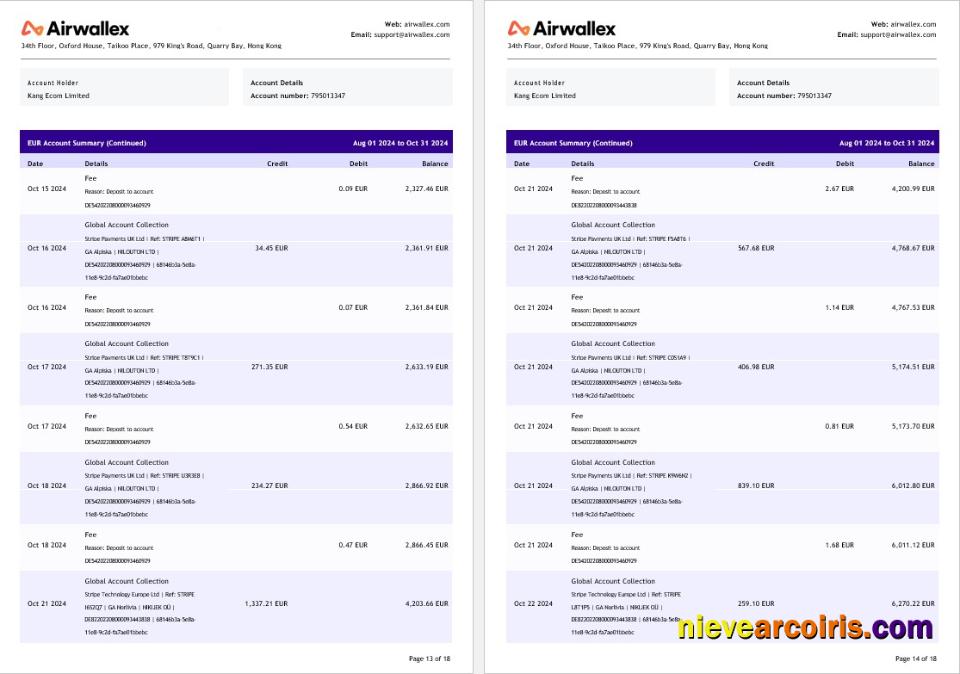 Hong Kong Airwallex Limited Account Statement, 18 Pages 7 Template