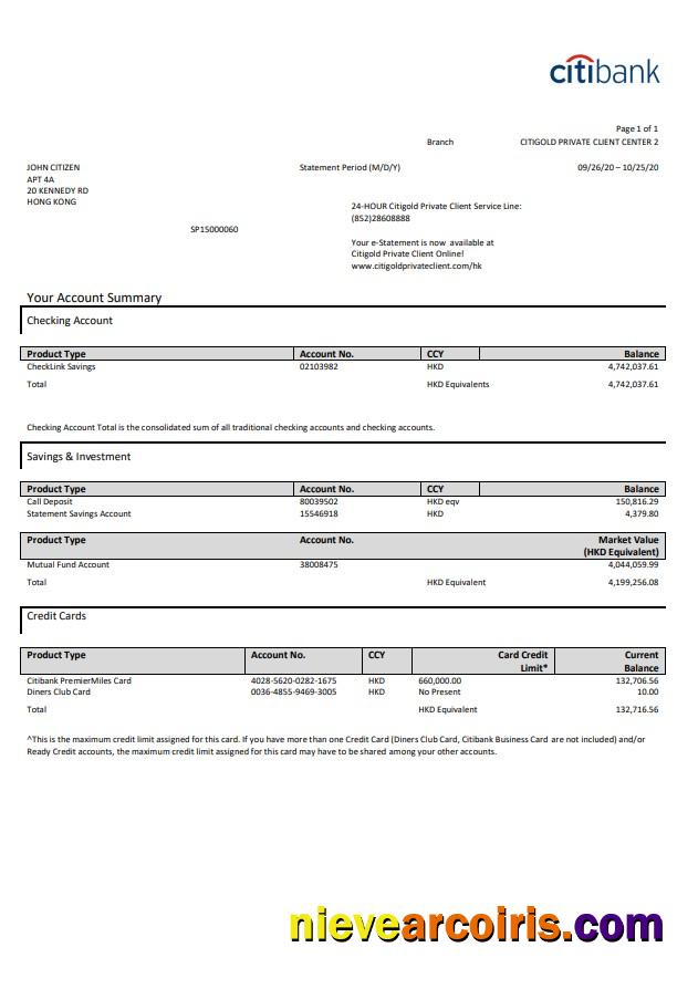 Hong Kong Citibank Credit Card Statement Photolook