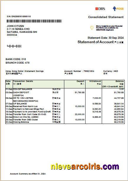 Premium Hong Kong DBS Bank Consolidated Statement Word And PDF Template Scr