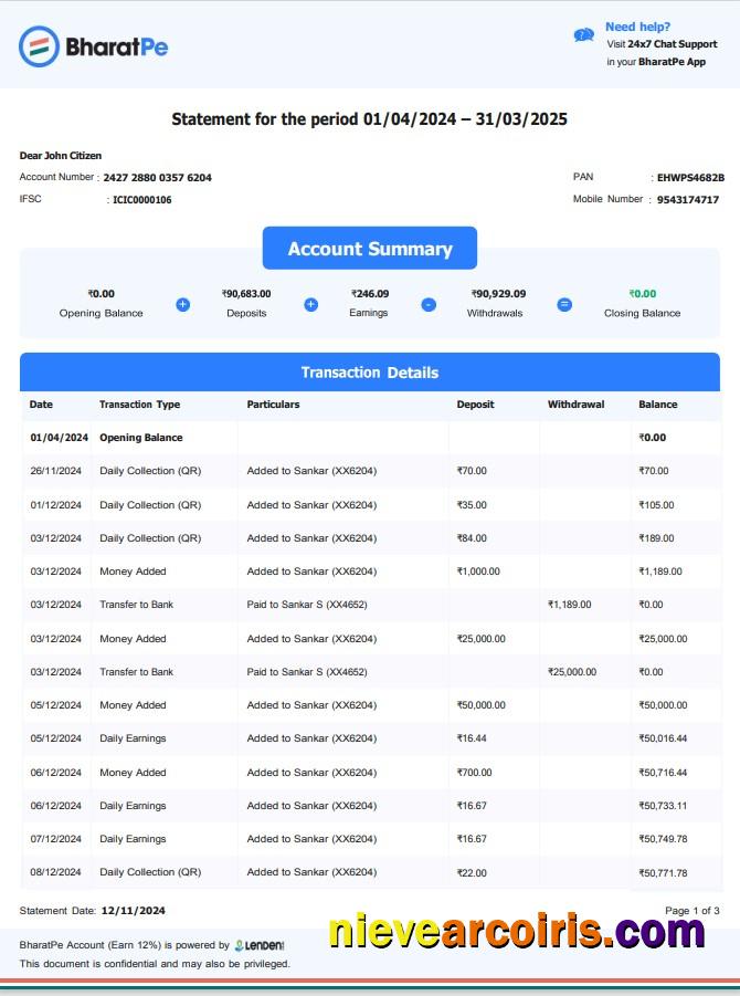 Realistic INDIA BHARATPE Bank Statement Template, Word And PDF Format