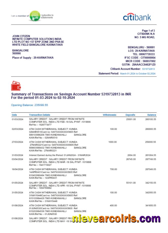 Professional INDIA CITIBANK Bank Statement Template, Word And PDF Format