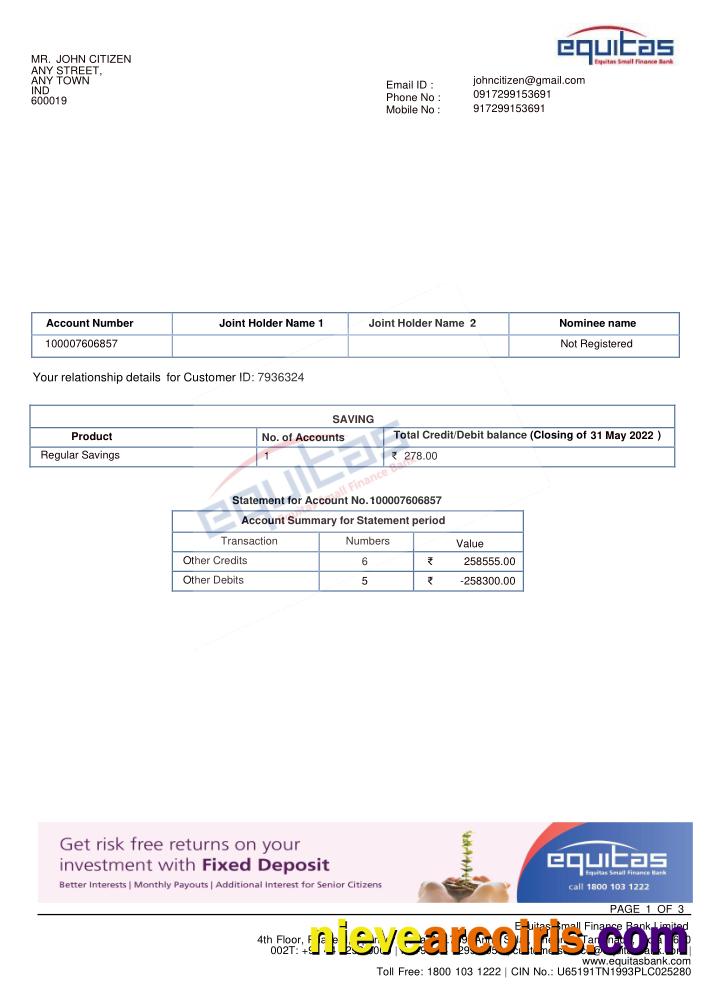 Professional INDIA EQUITAS Bank Statement Template, Word And PDF Format