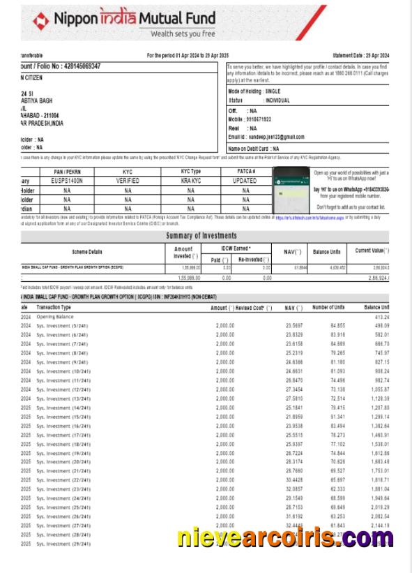 Professional INDIA NIPPON Bank Statement Template, Word And PDF Format