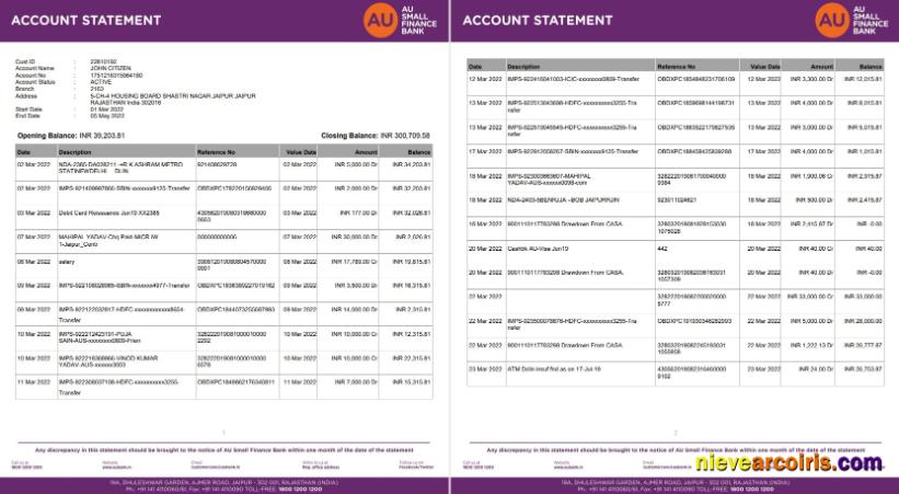 India AU Small Finance Bank Statement 5 Pages Template