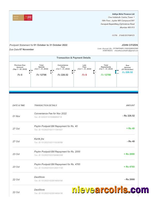 Professional India Aditya Birla Finance Ltd Fake Bank Statement Word And PDF Template, 3 Pages