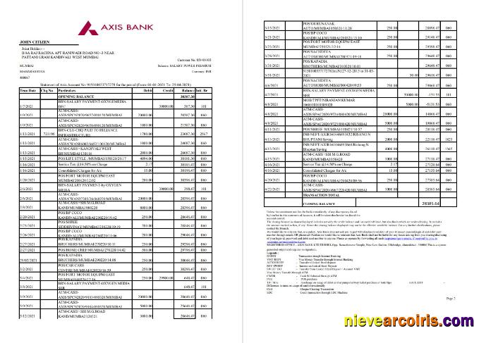 India Axis 2 Pages Excel Pdf Template