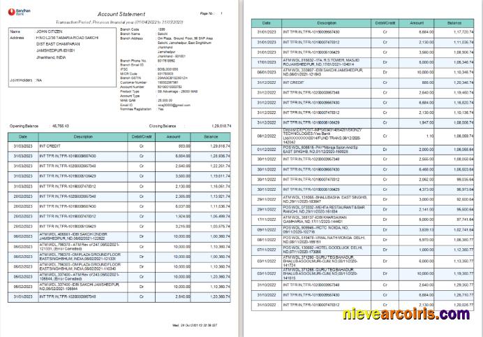 Premium India Bandhan Bank Statement Word And PDF Template, 4 Pages 1 2