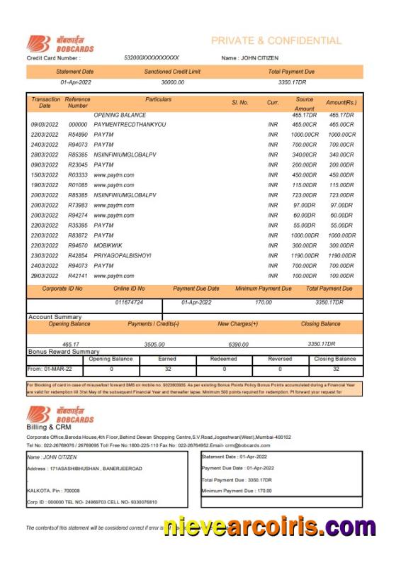 India Bank Of Baroda BOBCARDS Bank Statement Sample