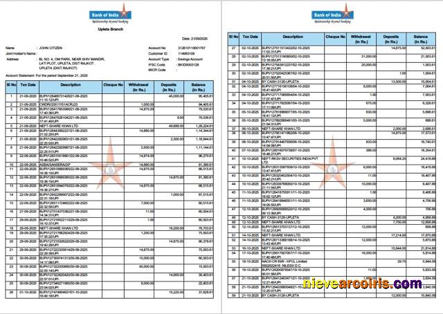 Premium India Bank Of India Account Statement Word And PDF Template, 2 Pages
