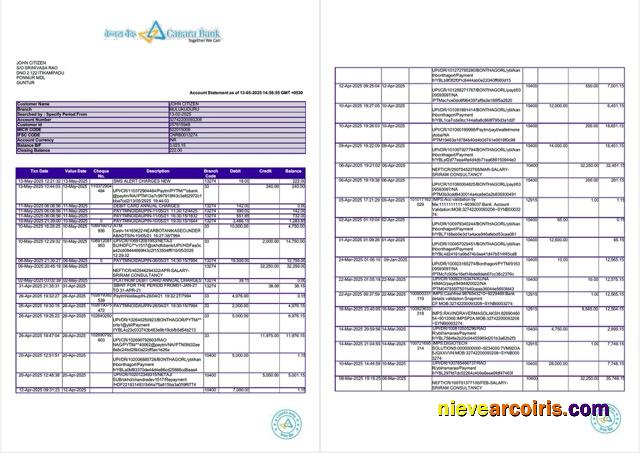 Premium India Canara Bank Account Statement Word And PDF Template, 2 Pages