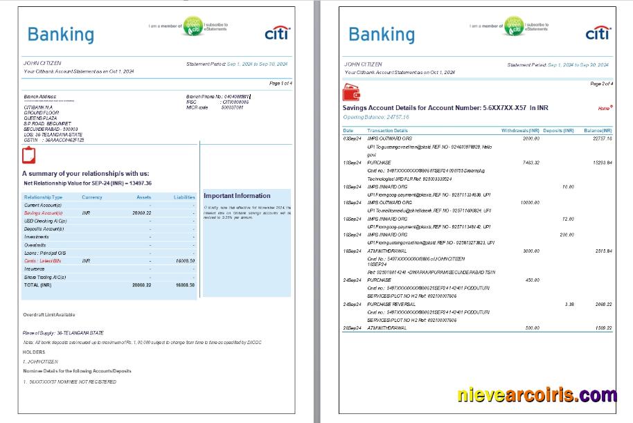 India Citibank Bank Statement, 6 Pages, 1 2 Scr Preview