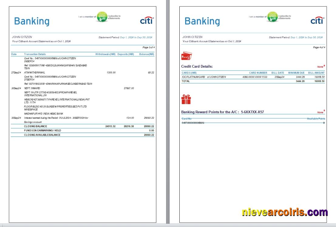 India Citibank Bank Statement, 6 Pages, 3 4 Scr Sample