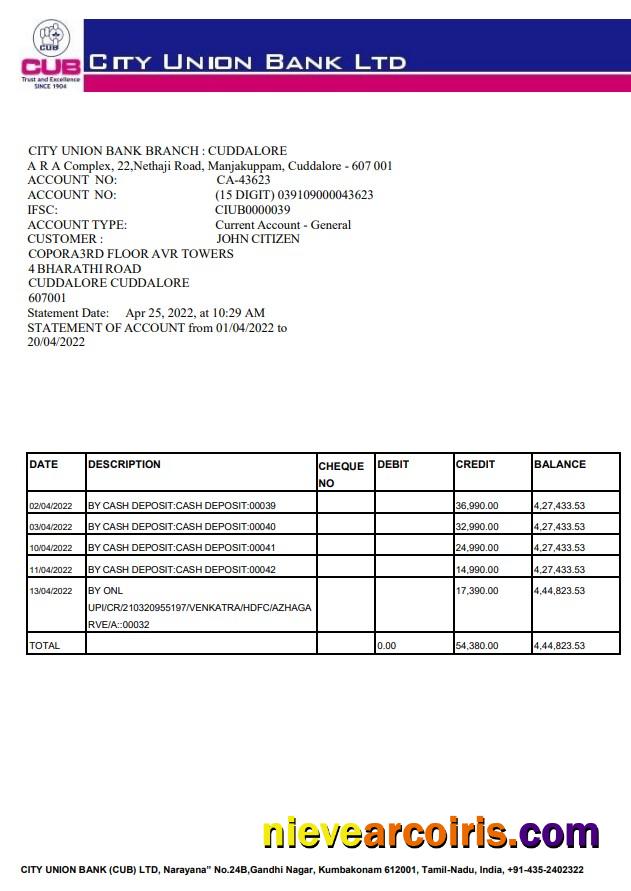 India City Union Bank Statement Photolook