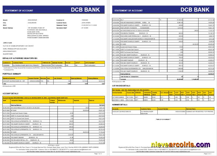 Professional India DCB Bank Statement Word And PDF Template, 2 Pages