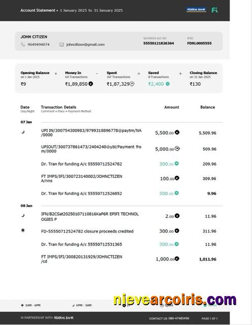 Premium India Federal Bank Account Statement Word And PDF Template, Version 3