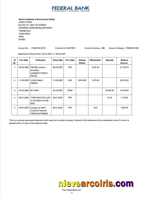 Premium India Federal Bank Statement Of Account Word And PDF Template, Version 2