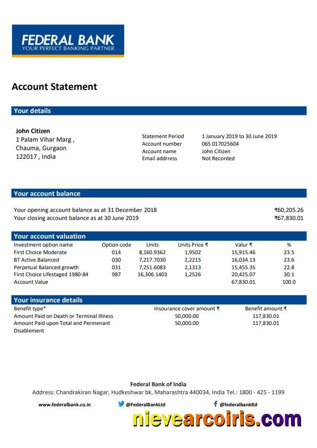 India Federal Bank Statement Preview