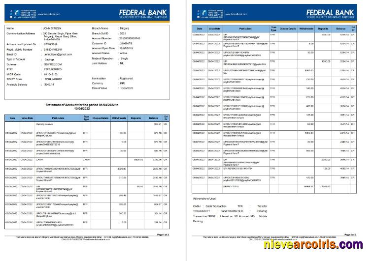 India Federal Bank Account Statement 3 Pages Preview