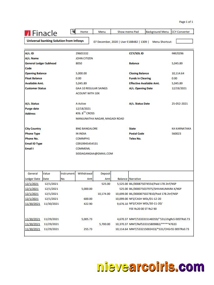 Professional India Finacle Bank Statement Easy To Fill Template In Excel And PDF Format