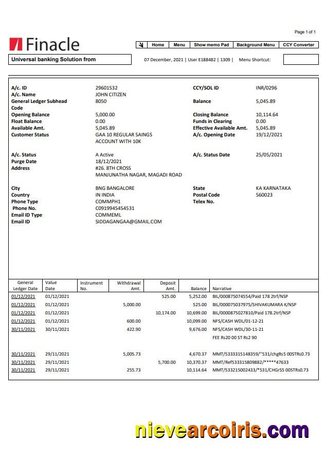 Realistic India Finacle Bank Statement Easy To Fill Template In Word And PDF Format
