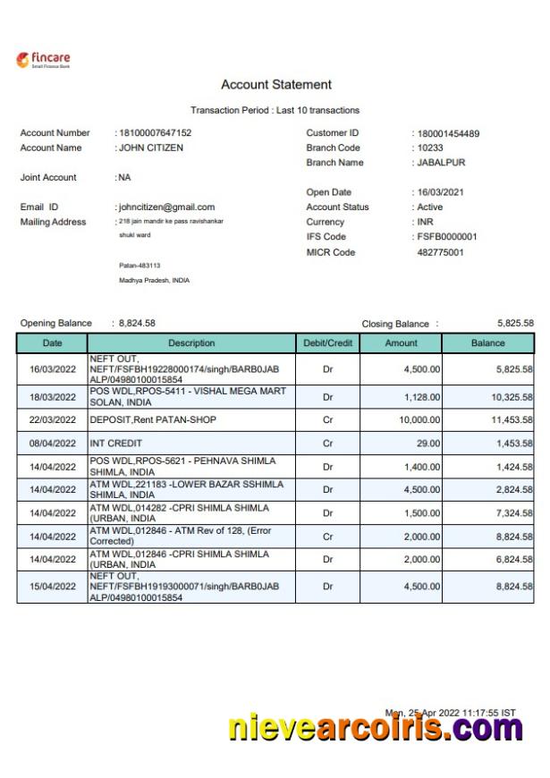 India Fincare Bank Statement Template