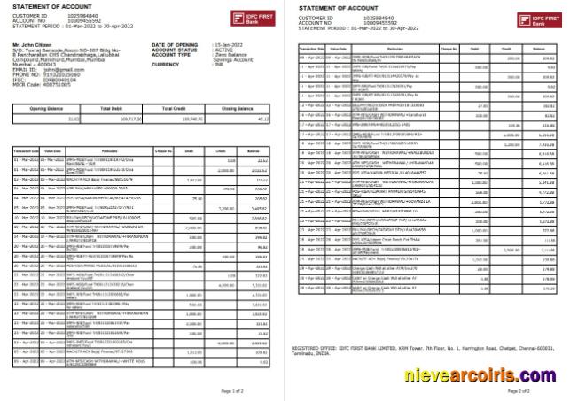 India IDFC First Bank Statement, 2 Pages Sample