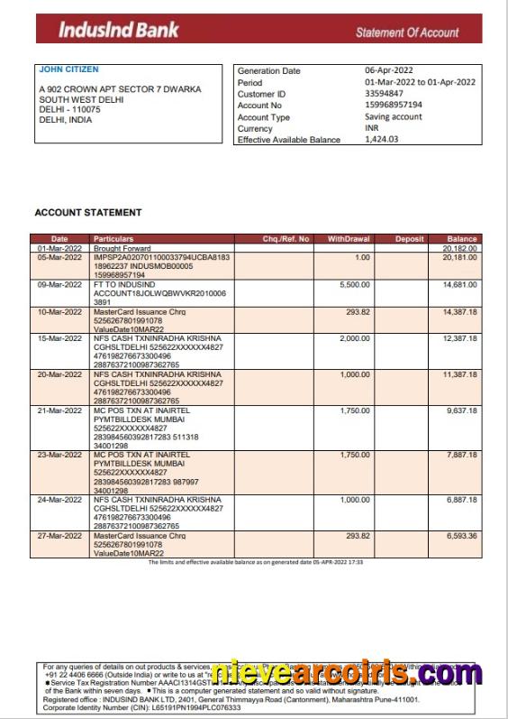 India IndusInd Bank Statement Preview