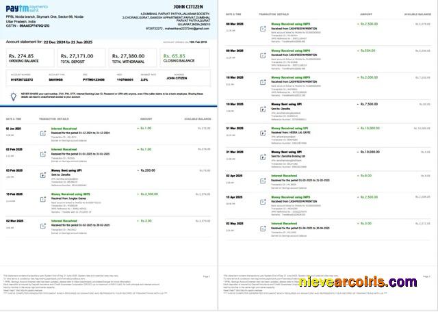 Professional India PayTM Payments Bank Account Statement Word And PDF Template, 3 Pages, 1 2 Pages