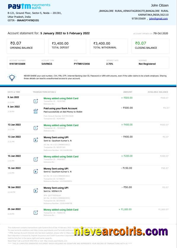 Editable India Paytm Payments Bank Statement Word And PDF Template, 2 Pages, Version 2