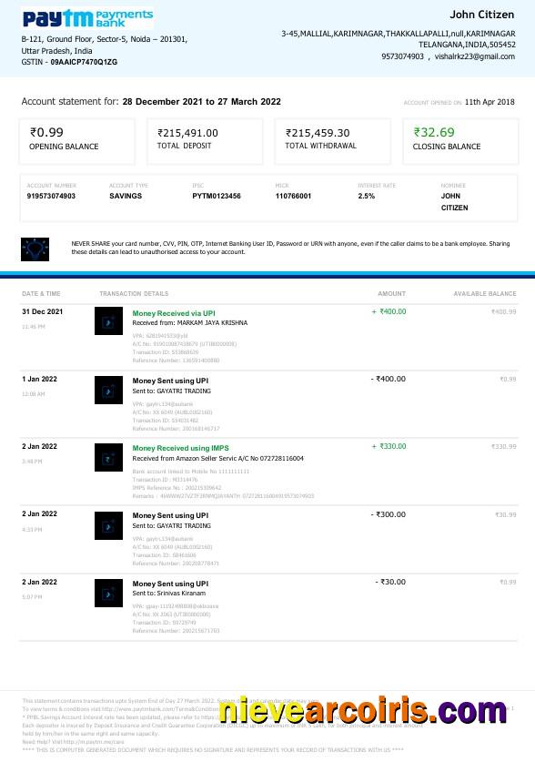 Premium India Paytm Payments Bank Statement Word And PDF Template, 2 Pages