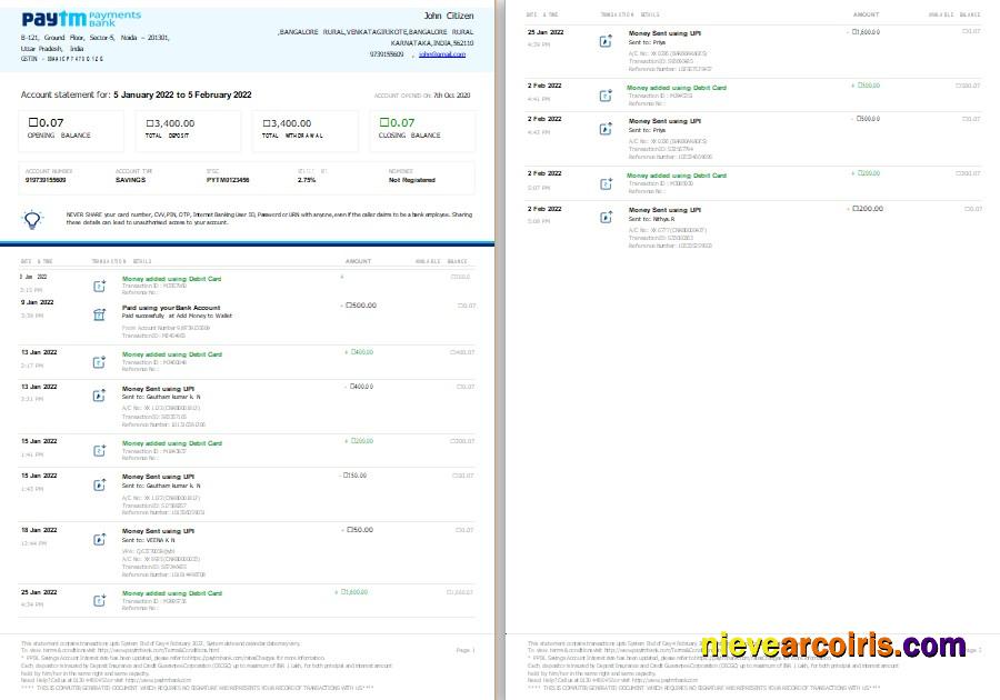 Professional India Paytm Payments Bank Statement Template, Word And PDF Format, 2 Pages, Version 2