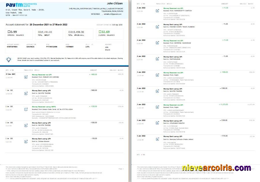 Premium India Paytm Payments Bank Statement Template, Word And PDF Format, 2 Pages