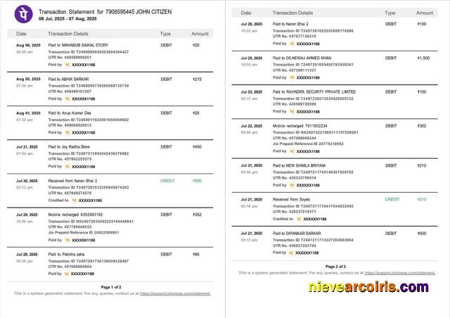 Editable India PhonePe Transaction Statement Word And PDF Template, 2 Pages