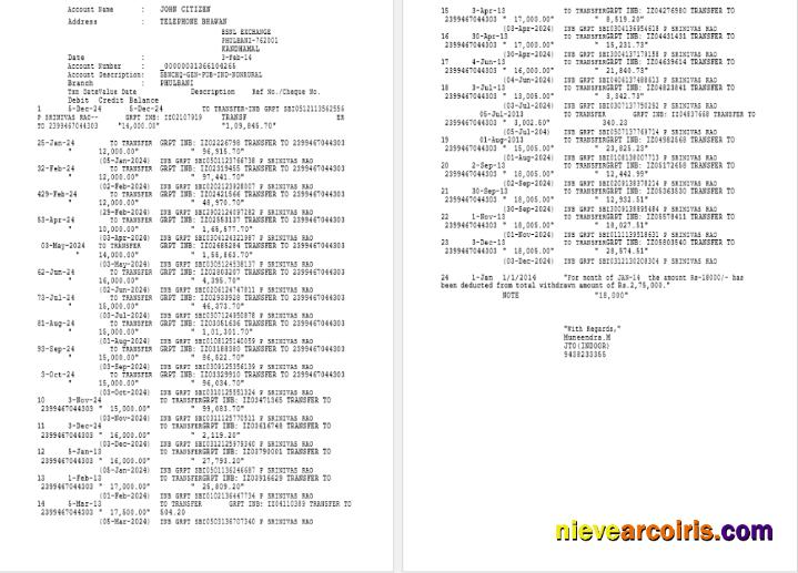India Phulbani Bank Of India Statement Word And PDF Example, 2 Pages Photolook