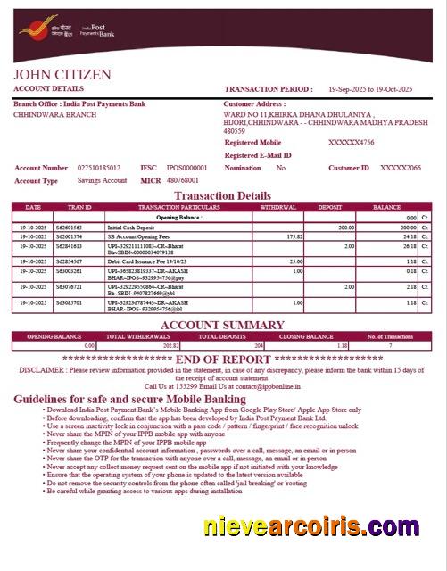 Professional India Post Payments Bank Account Statement Word And PDF Template
