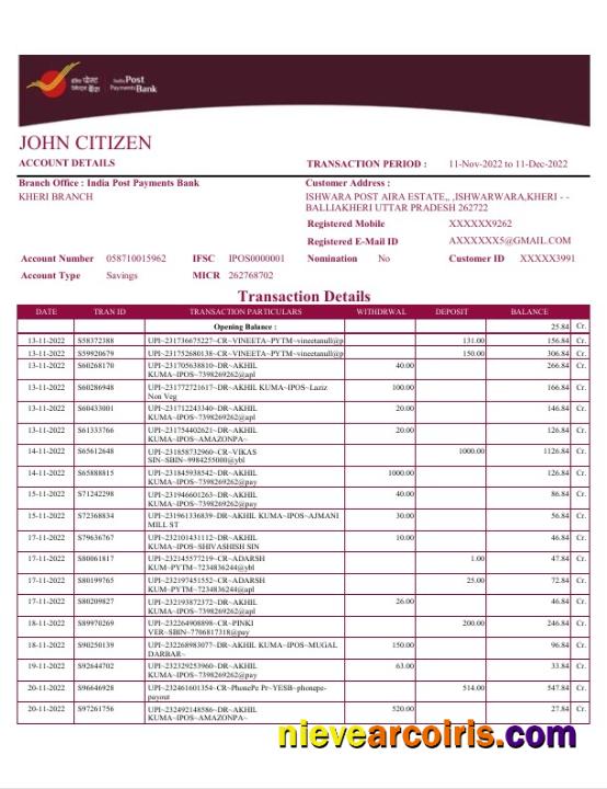 Premium India Post Payments Bank Statement Word And PDF Template, 4 Pages