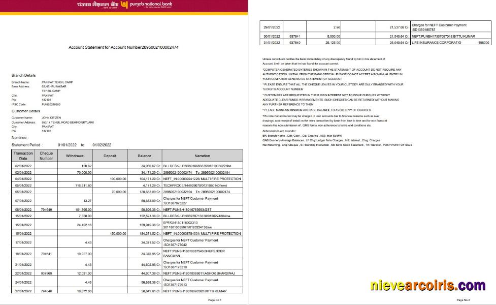 Editable India Punjab National Bank Statement Word And PDF Template, 2 Pages, Version 2