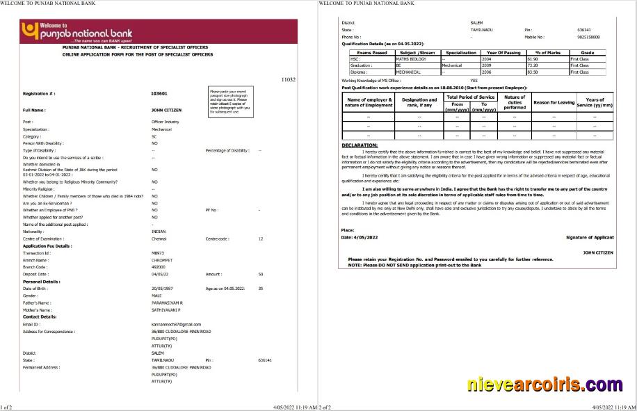 Realistic India Punjab National Bank Statement Word And PDF Template, 2 Pages