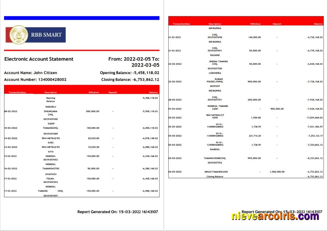 India RBB Smart Bank Statement 2 Pages Template