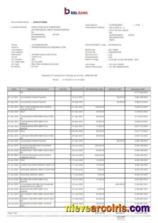 Professional India RBL Bank Statement Word And PDF Template Scr