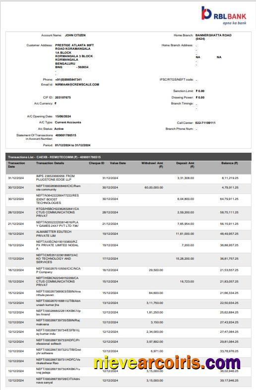 Professional India RBL Bank Statement Word And PDF Template, 2 Pages