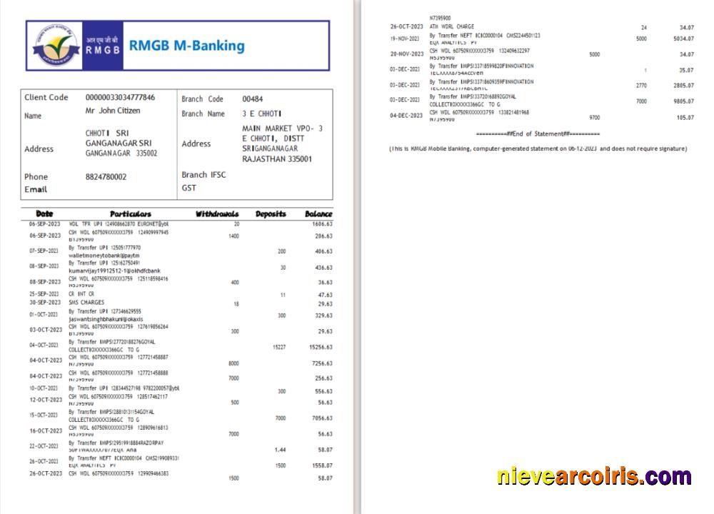 Realistic India RMGB Bank Statement Word And PDF Template, 2 Pages Scr
