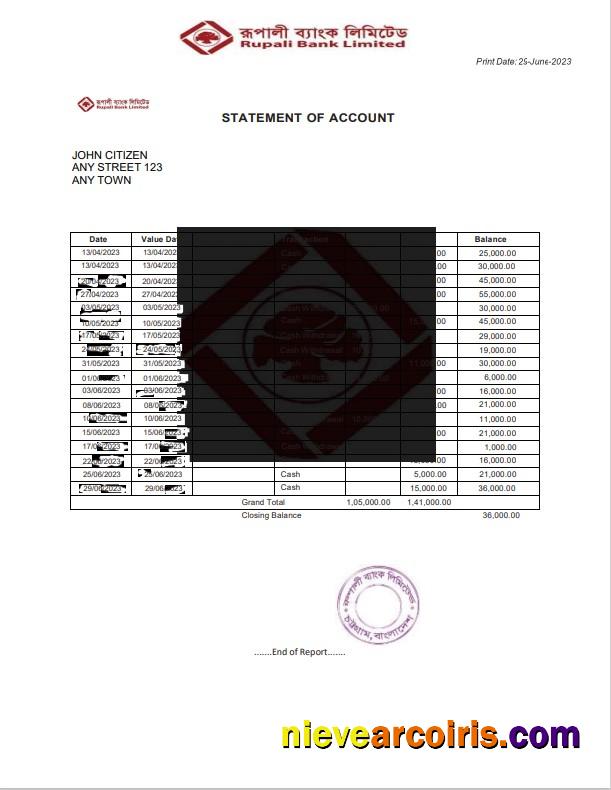 Realistic India Rupali Limited Bank Statement Template, Word And PDF Format