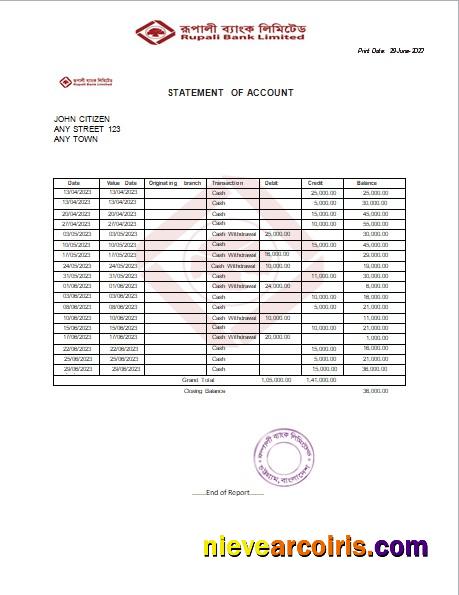 Professional India Rupali Limited Fake Bank Statement Word And PDF Template